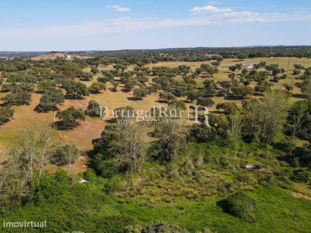 Herdade 80 hectares confinante com a Barragem-6