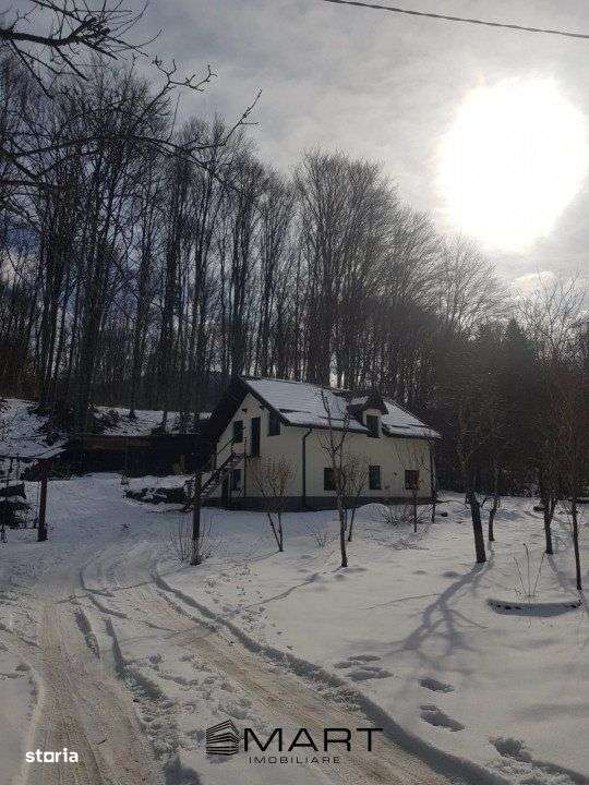 Cabana 4 camere zona Valea Avrigului - Imagine principală: 2/19