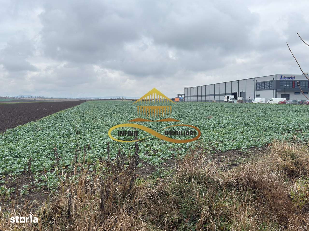 Teren industrial de vanzare in Bacau zona RAR - Imagine principală: 2/6