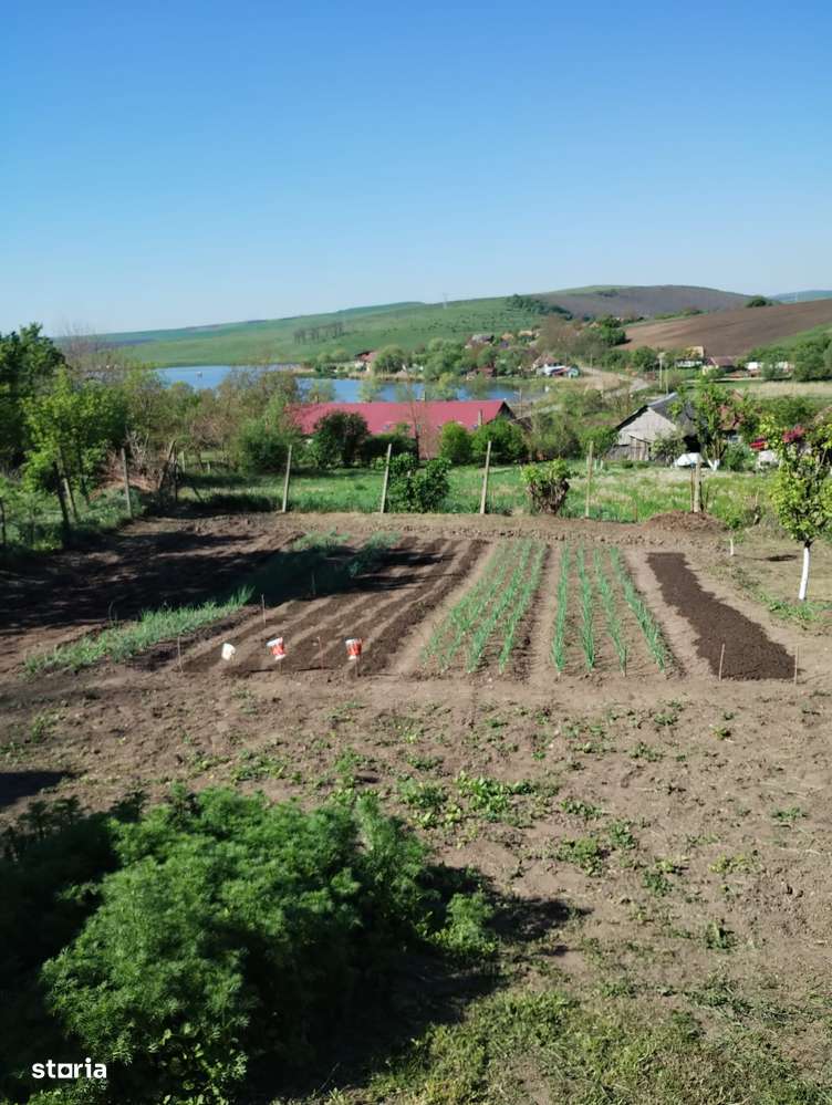 Casă renovată, teren 2300 mp, utilități complete – poziție centrală-10