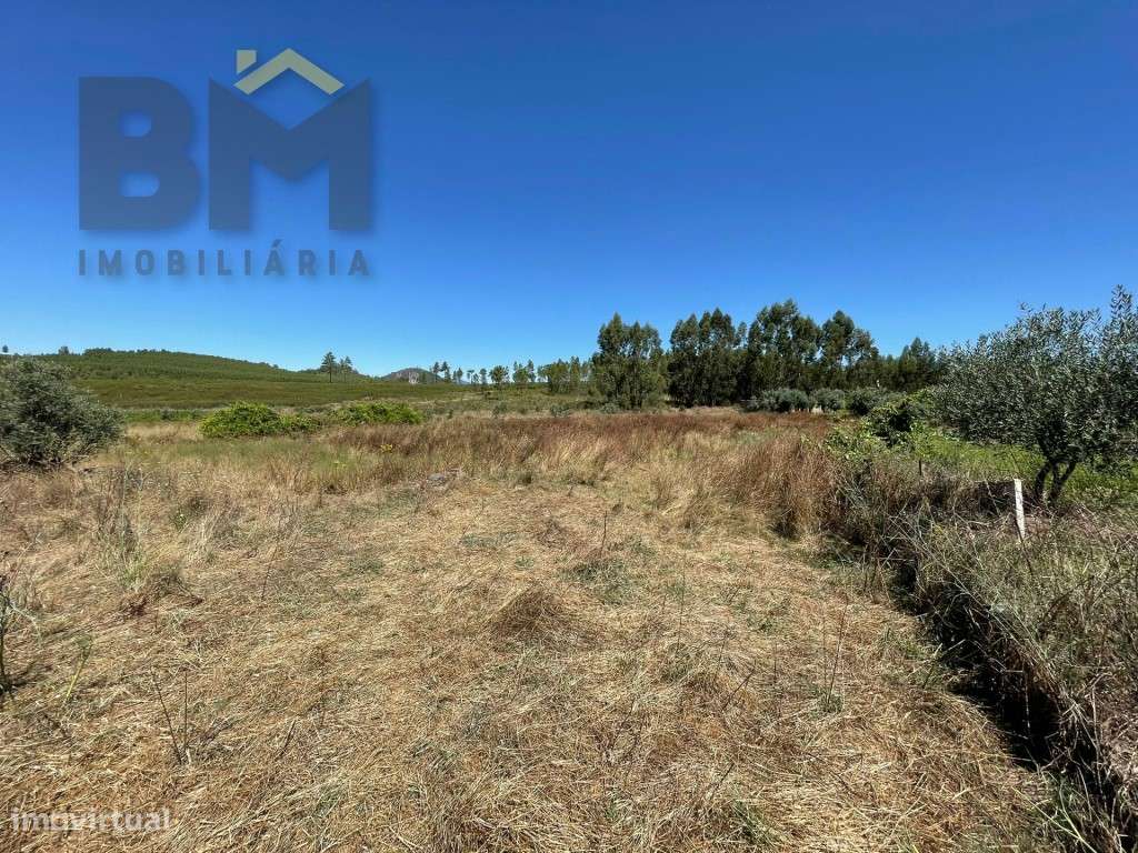 Terreno rustico com 1680m2 em Juncal do Campo! - Grande imagem: 3/8