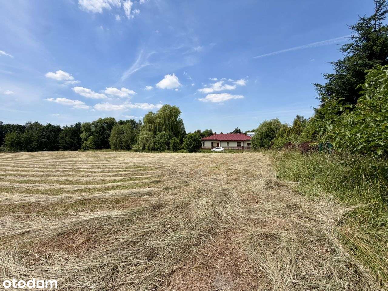 Morgi , ul. Słoneczna | 1,4ha | część budowlana 50