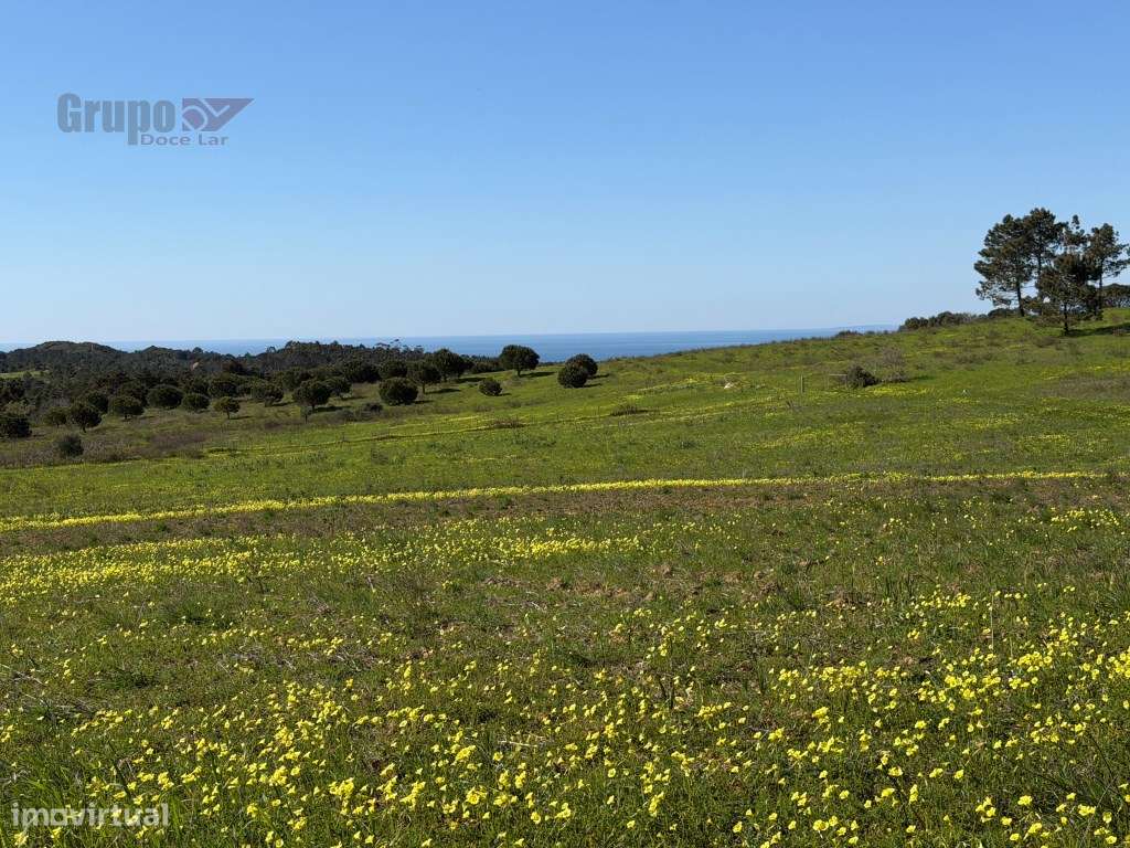 Propriedade Exclusiva em Sesimbra: Moradia T3 + Projeto Aprovado e ...-10