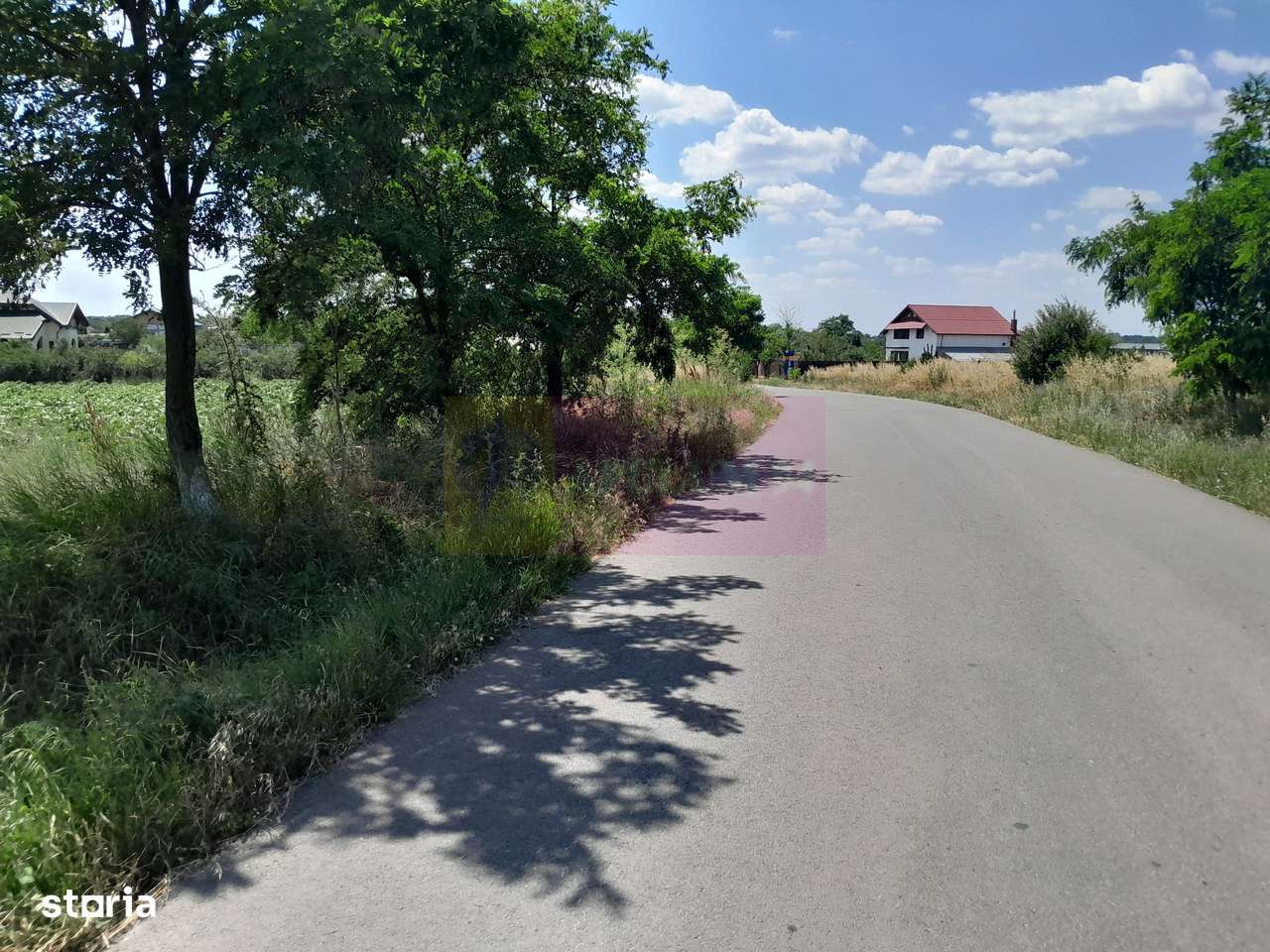 TEISORI /GR - 2 LOTURI LIPITE (TOT. 16500 MP) DE VZ 100K EUR NEG - Imagine principală: 3/11