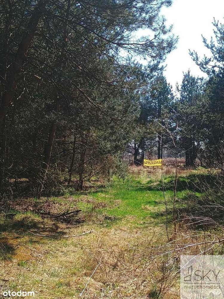 Piękna działka siedliskowa 10 min od Wrocławia - Pełny obrazek: 5/6