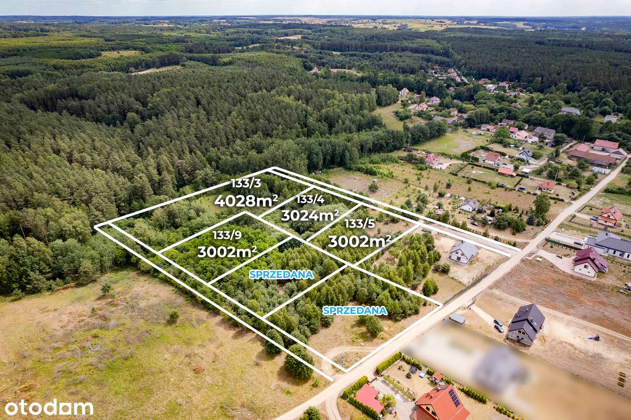 Działka budowlana 3002 m2 przy lesie Barcikowo Dobre Miasto-1