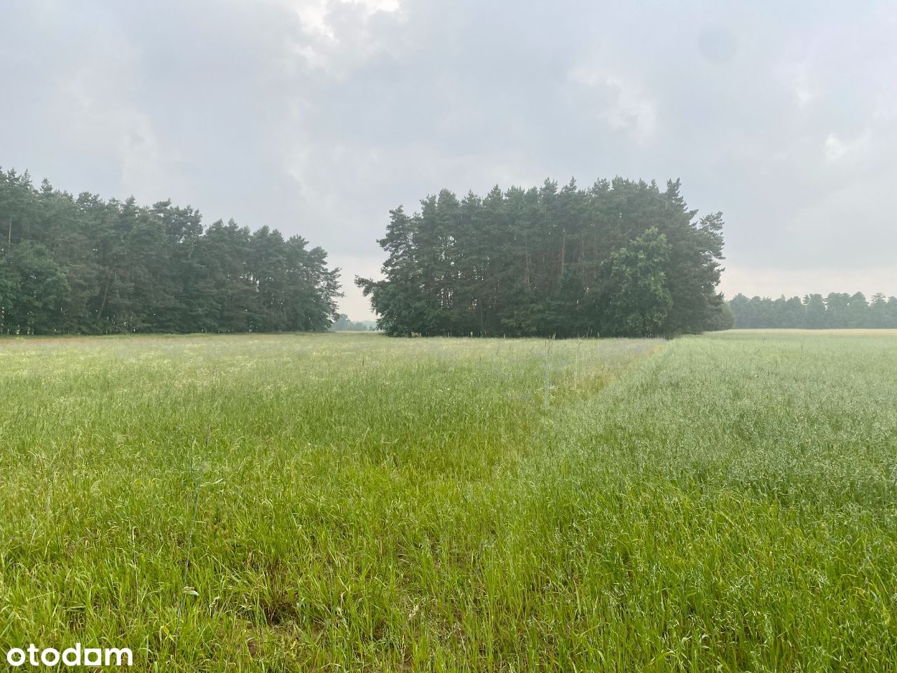 Piękna działka 30min od Warszawy