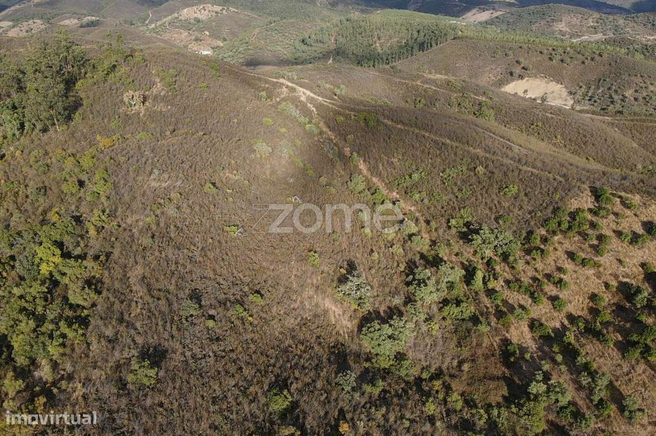 Terreno Rústico em Foz do Ribeiro com 7.920m2, S.B.Messines - Grande imagem: 4/15
