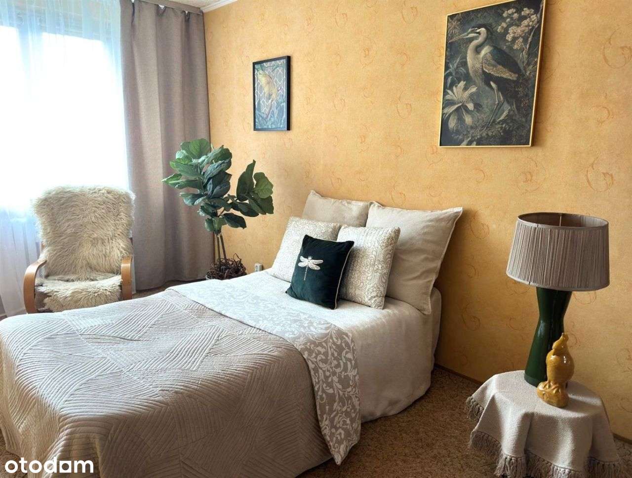 Black Week- Rabat 14 000 Pln - Pełny obrazek: 5/15