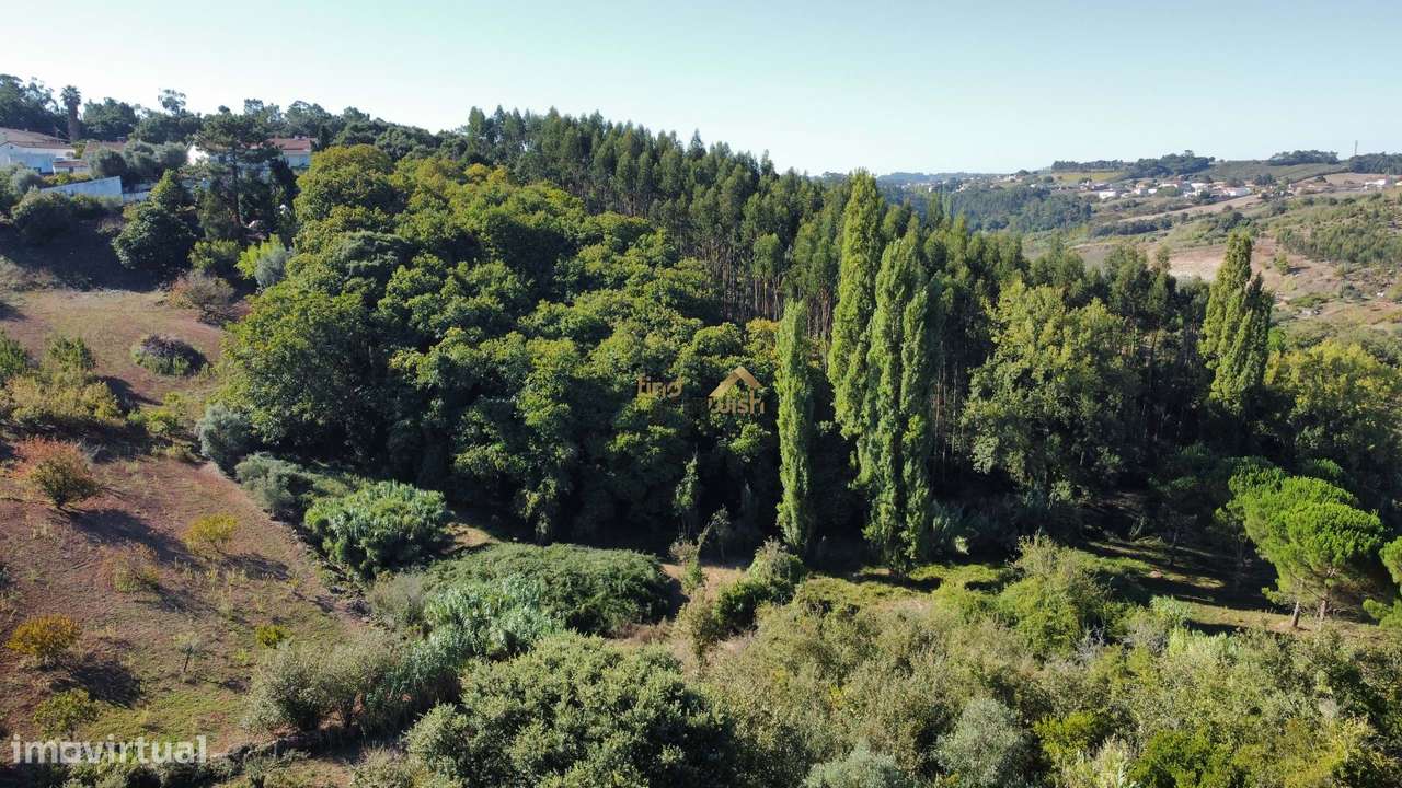 Terreno Rústico com 14.290 m² | Excelente Localização e Potencial-13