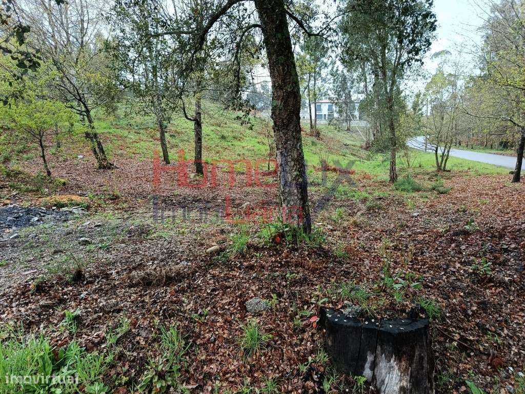 Terreno Urbanizável nas Termas de São Pedro do Sul - Grande imagem: 4/22
