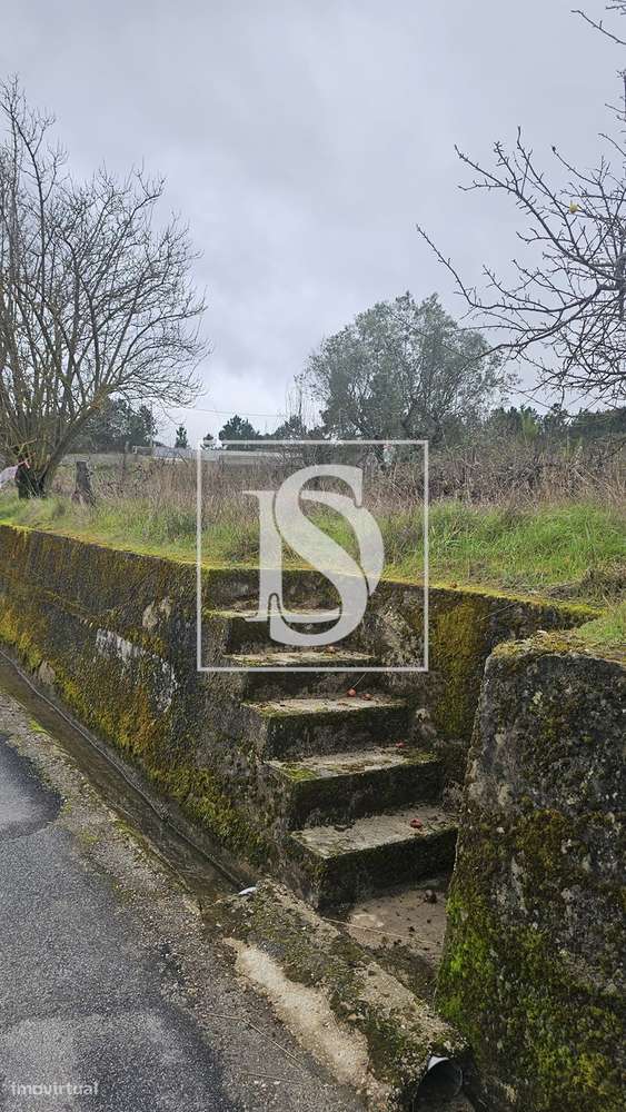 Terrenos Rústicos – Aricera e Goujoim, Armamar (Viseu)-1