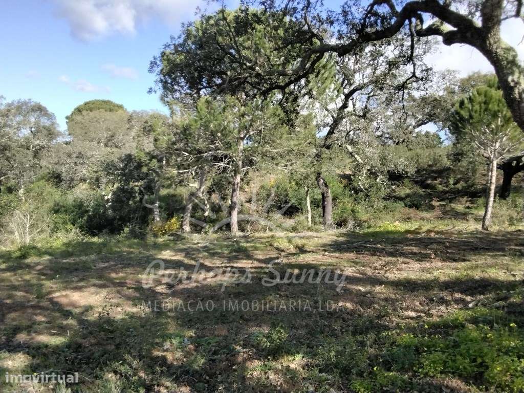 Terreno com projeto moradia Aprovado - Grande imagem: 2/38