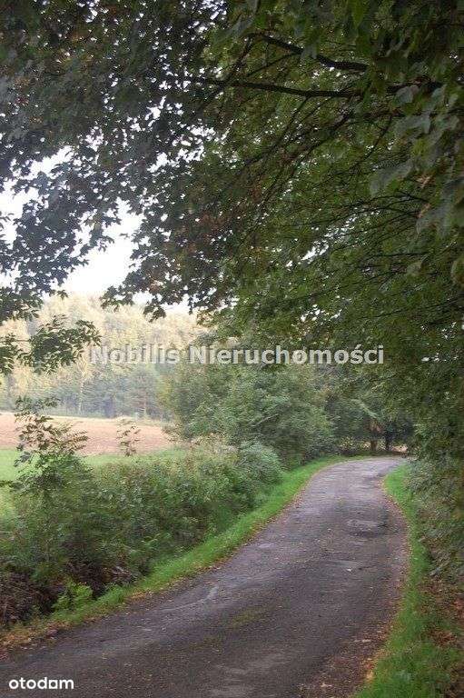 Działka w Roztropicach-2