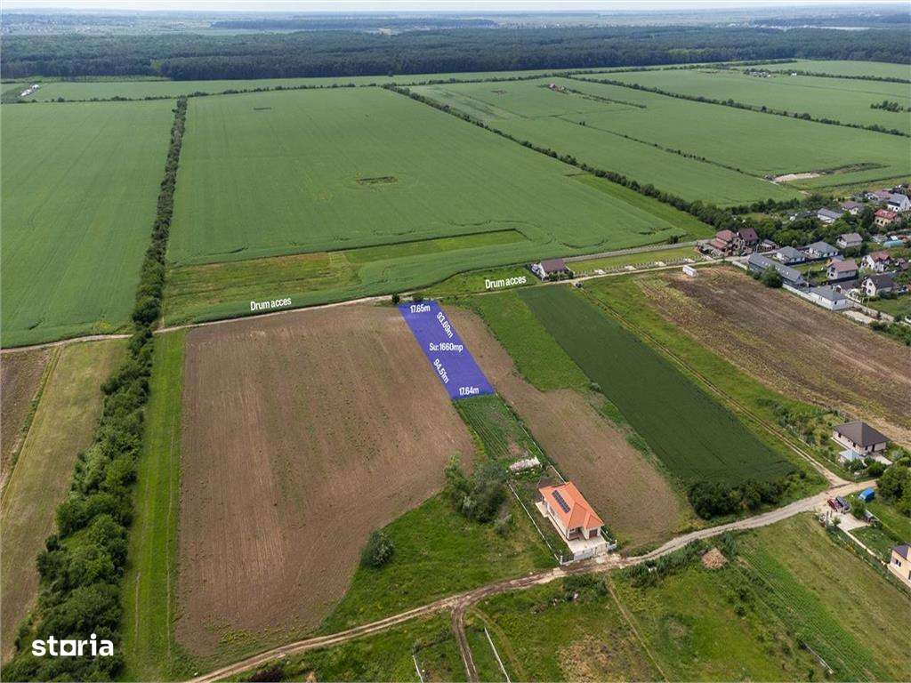 BUFTEA - FLAMANZENI,TEREN INTRAVILAN 1660 MP,DESCHIDERE 17 M,ASFALT 70 - Imagine principală: 5/5