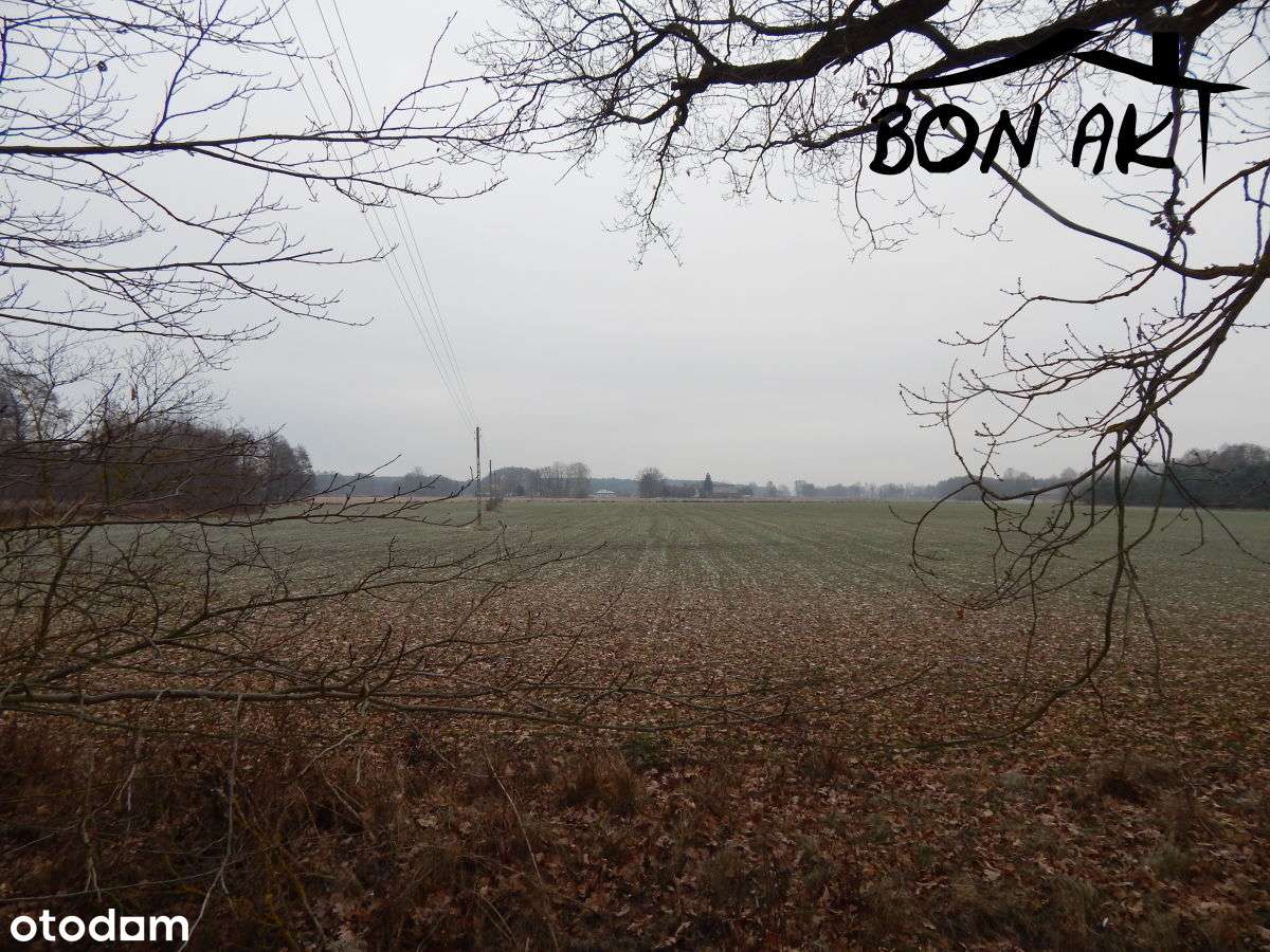 Działka rolna-6