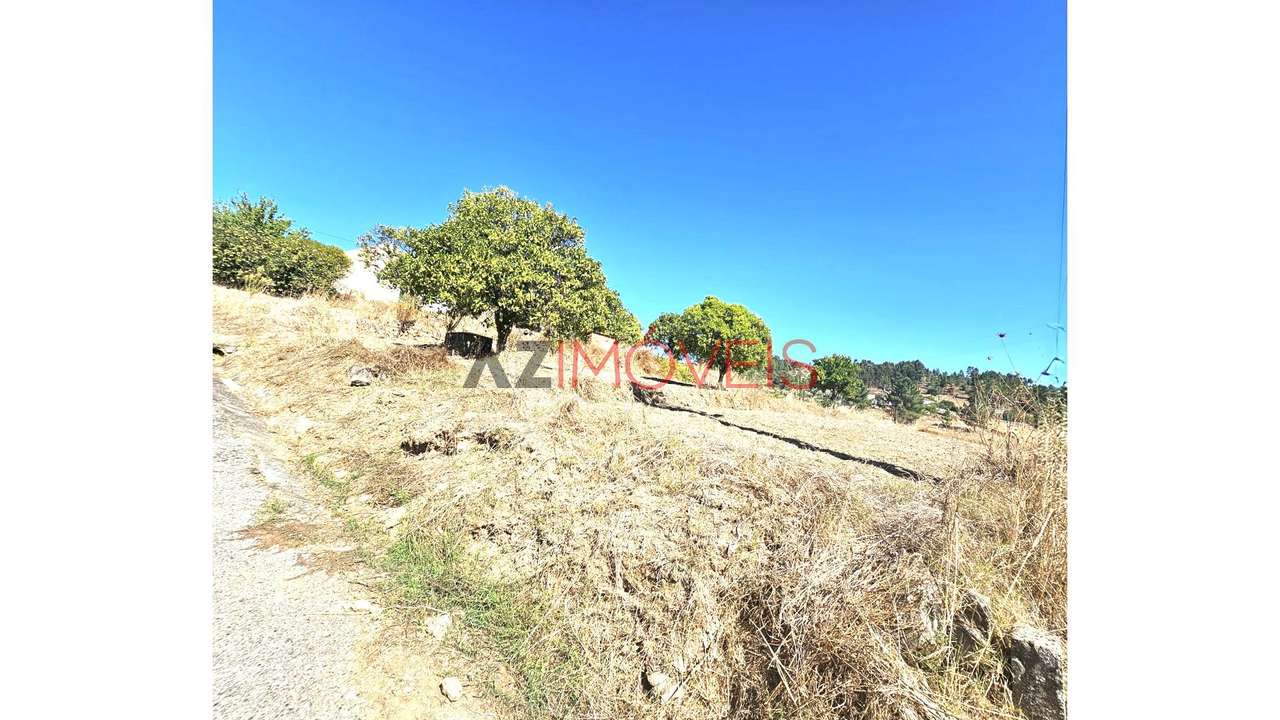 Moradia Rústica T2+1 Terreno com 3.480m2-40