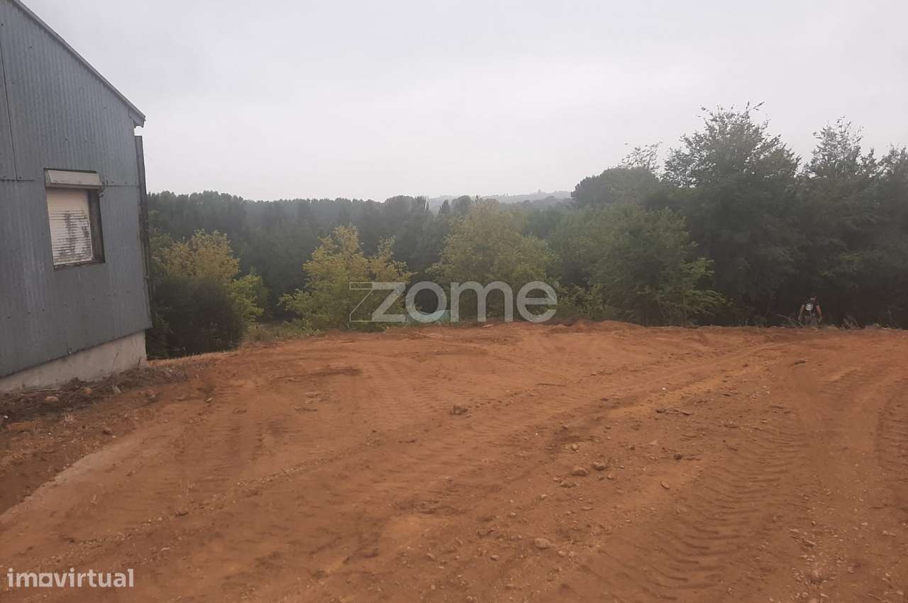 Terreno Rústico em Travassô - Grande imagem: 5/23