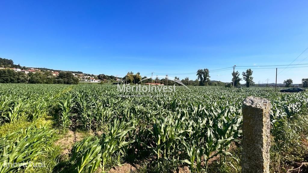 Terreno para venda na Freguesia de Nine- V.N.Famalicão.