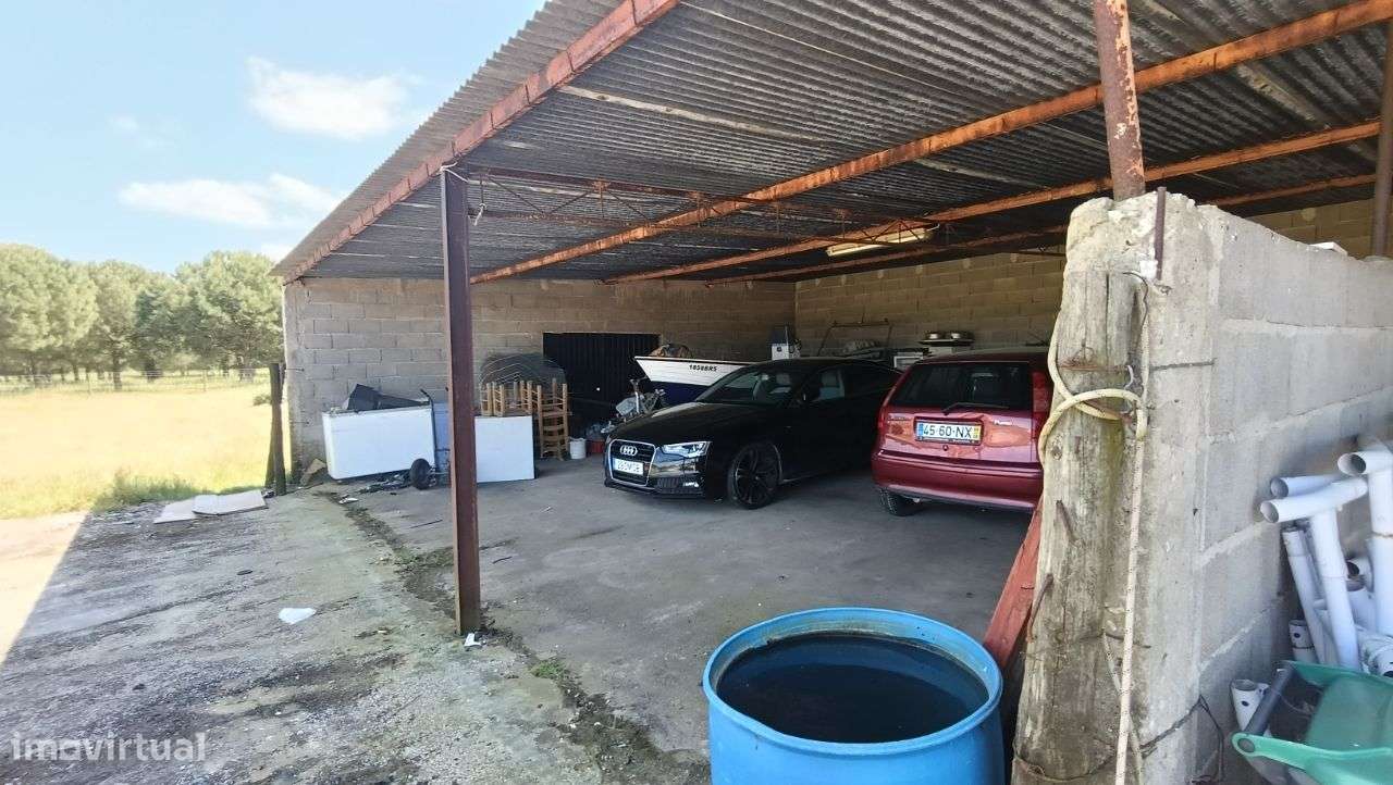 Quinta Pegões Velhos, junto á adega, com moradia e armazém lote 3,8 ha-48
