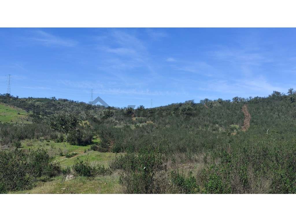 Terreno rústico de10,61Ha localizado 2 Km a sul da localidade da Do... - Grande imagem: 5/10