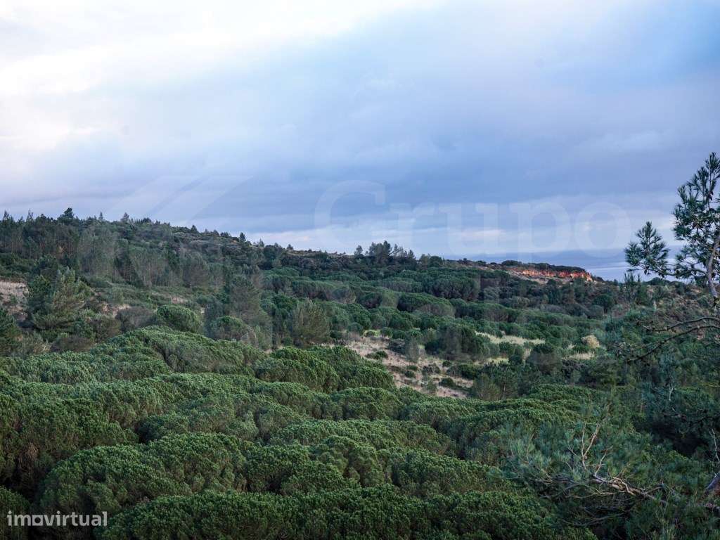 Terreno Rústico com Vista Paisagística | Santa Eulália | Vialonga - Grande imagem: 4/5