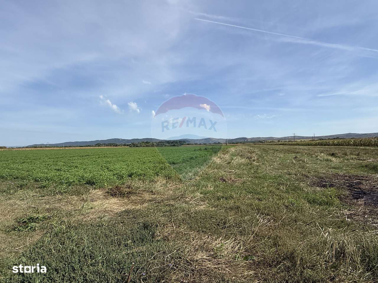 Teren Investitii 2.5 Ha | Zona Tetarom III Rascruci - Imagine principală: 3/5