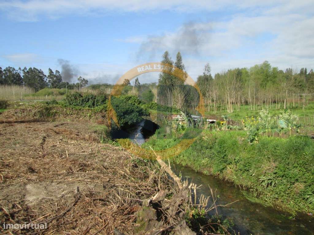 Terreno Rústico - São João de Ovar - Grande imagem: 5/9