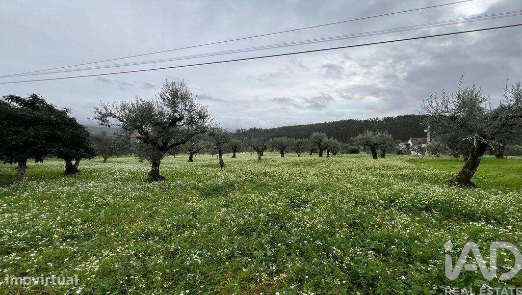 Terreno para construção em Podentes de 2088,00 m2 - Grande imagem: 5/14