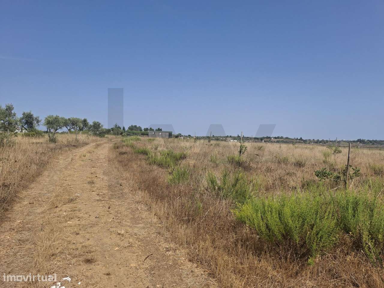 Propriedade agrícola com 78.640 m2 em Vale da Lama, Odiáxere.-12