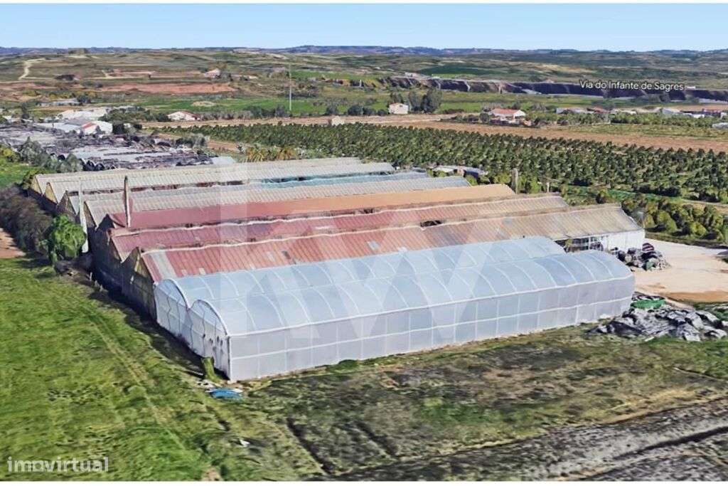 Terreno é composto por 3 estufas individuais com estrutura galvanizada - Grande imagem: 1/52
