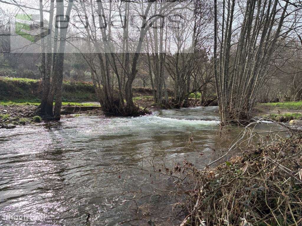 Magnifica Quinta - Grande imagem: 2/31