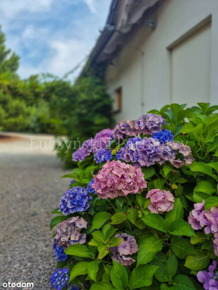 Dom w sercu natury – Dziwiszów, Jelenia Góra-2