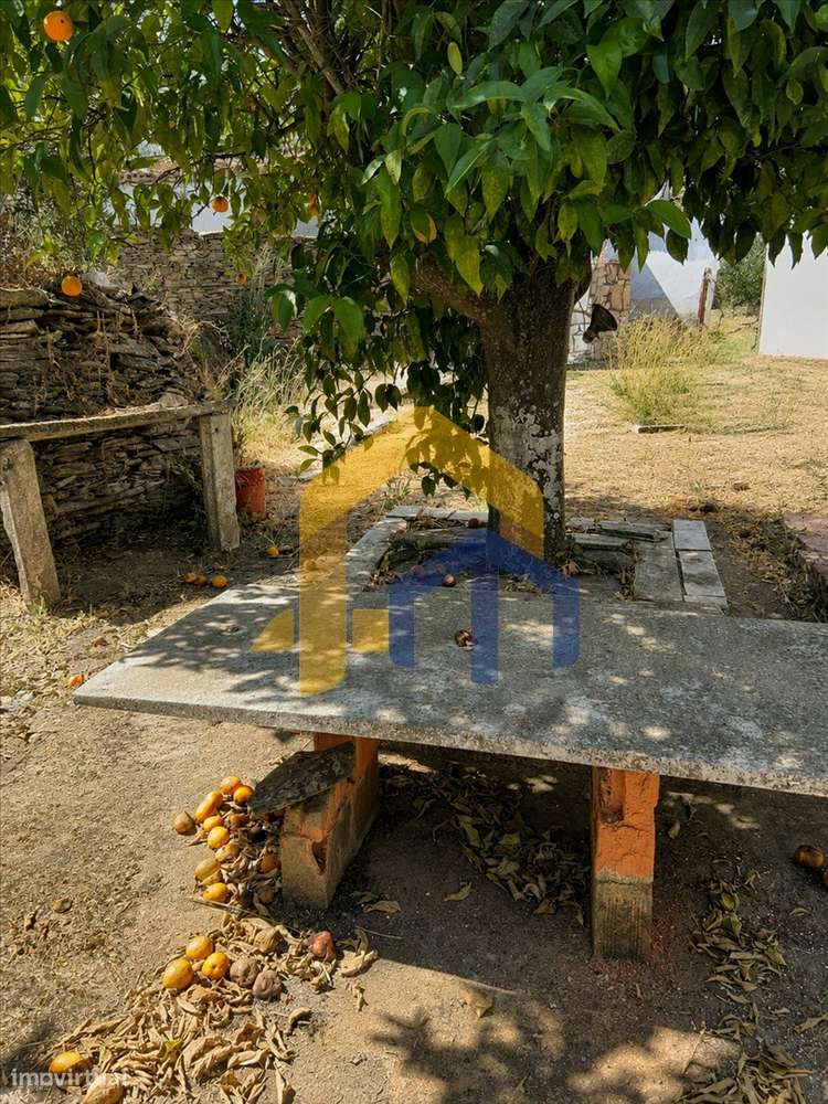 Quintinha para Recuperação Total em Glória – Estremoz-25