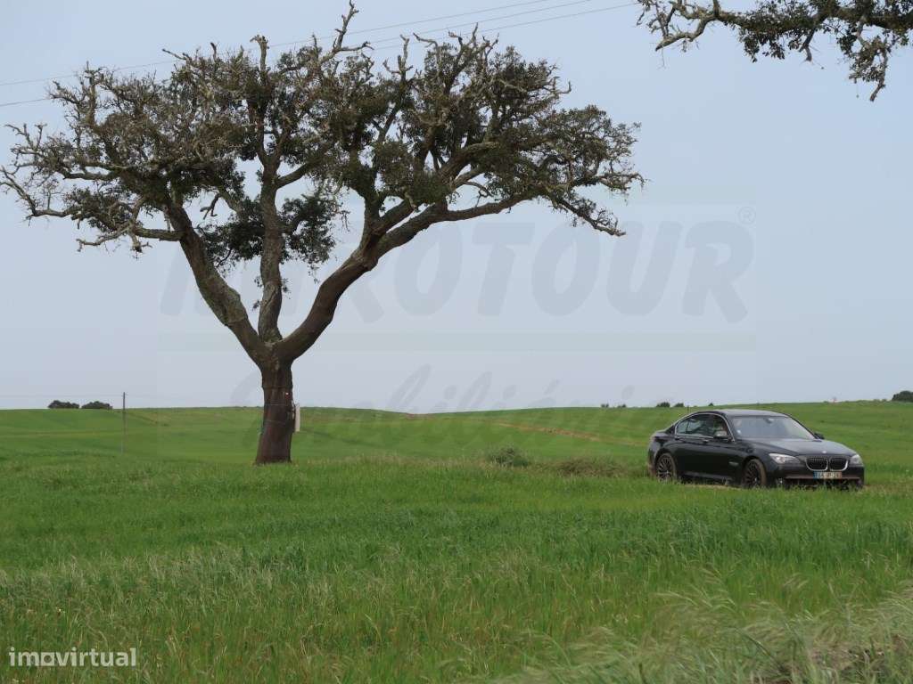 Quinta em excelente localização-6