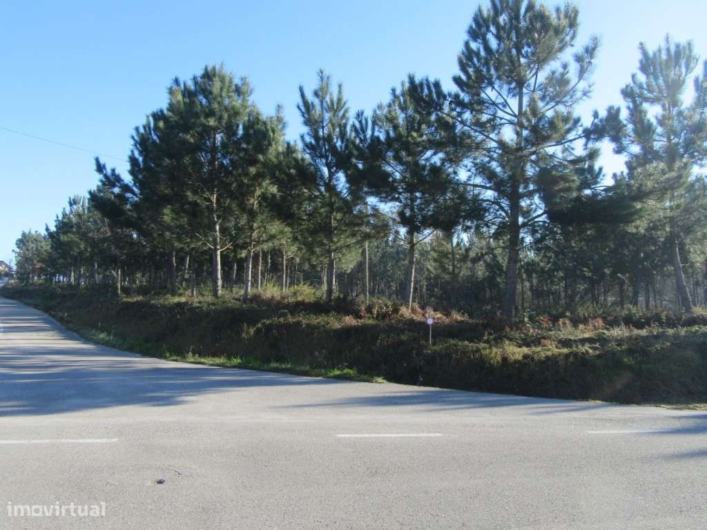 Terreno para construção na zona de Monte Real - Grande imagem: 2/10