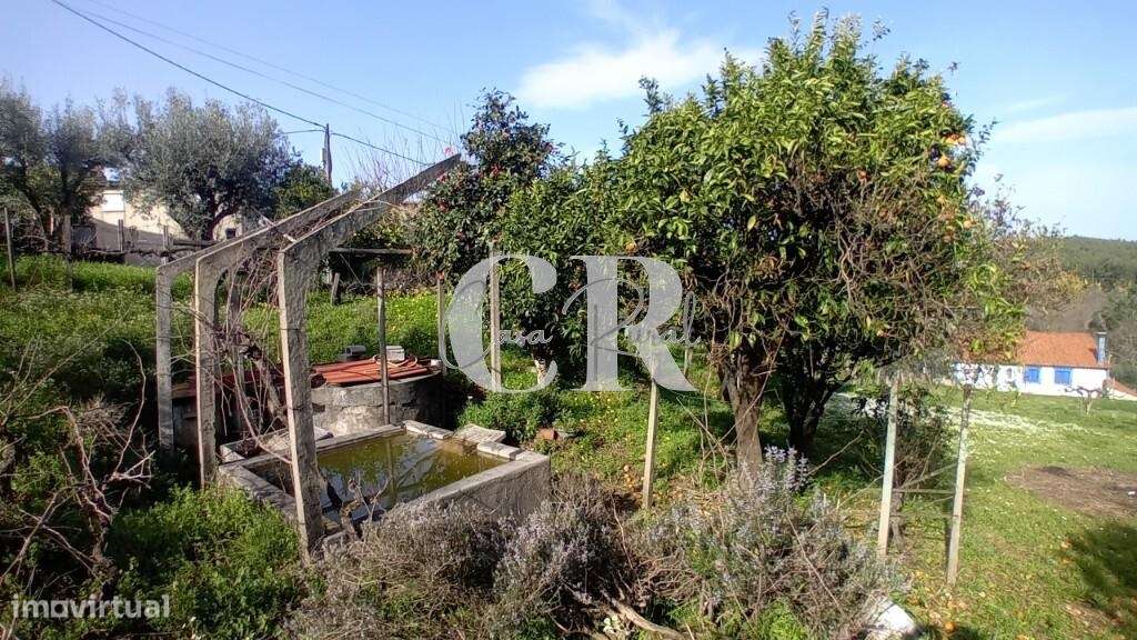 Moradia em pedra em Figueiró dos Vinhos com terreno e poço de água-22