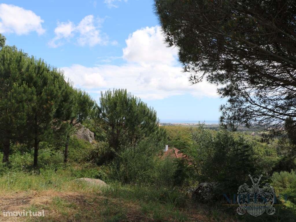 VENDE-SE: Moradia com Vista Mar Isolada na Elevada Malveira da Serr...-8