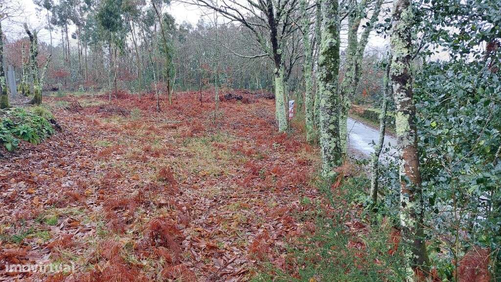 Terreno rústico - Agra, Rossas - Grande imagem: 4/9