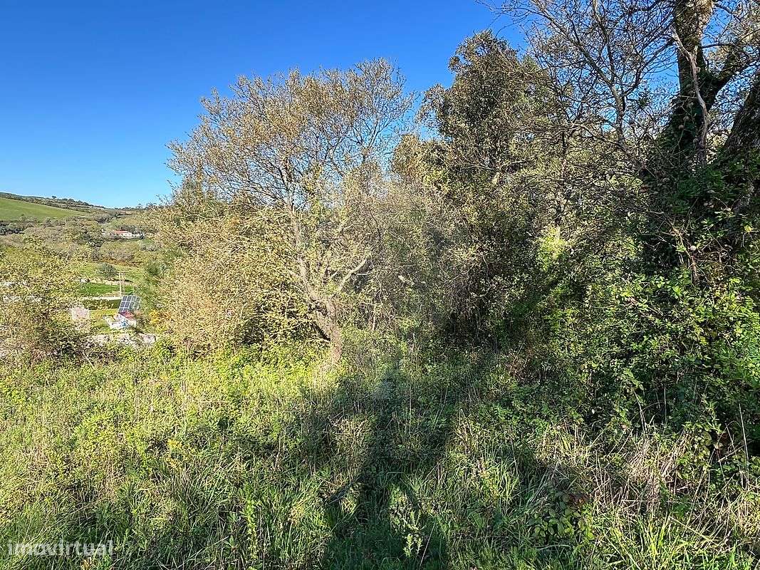 Terreno  para venda - Grande imagem: 5/14