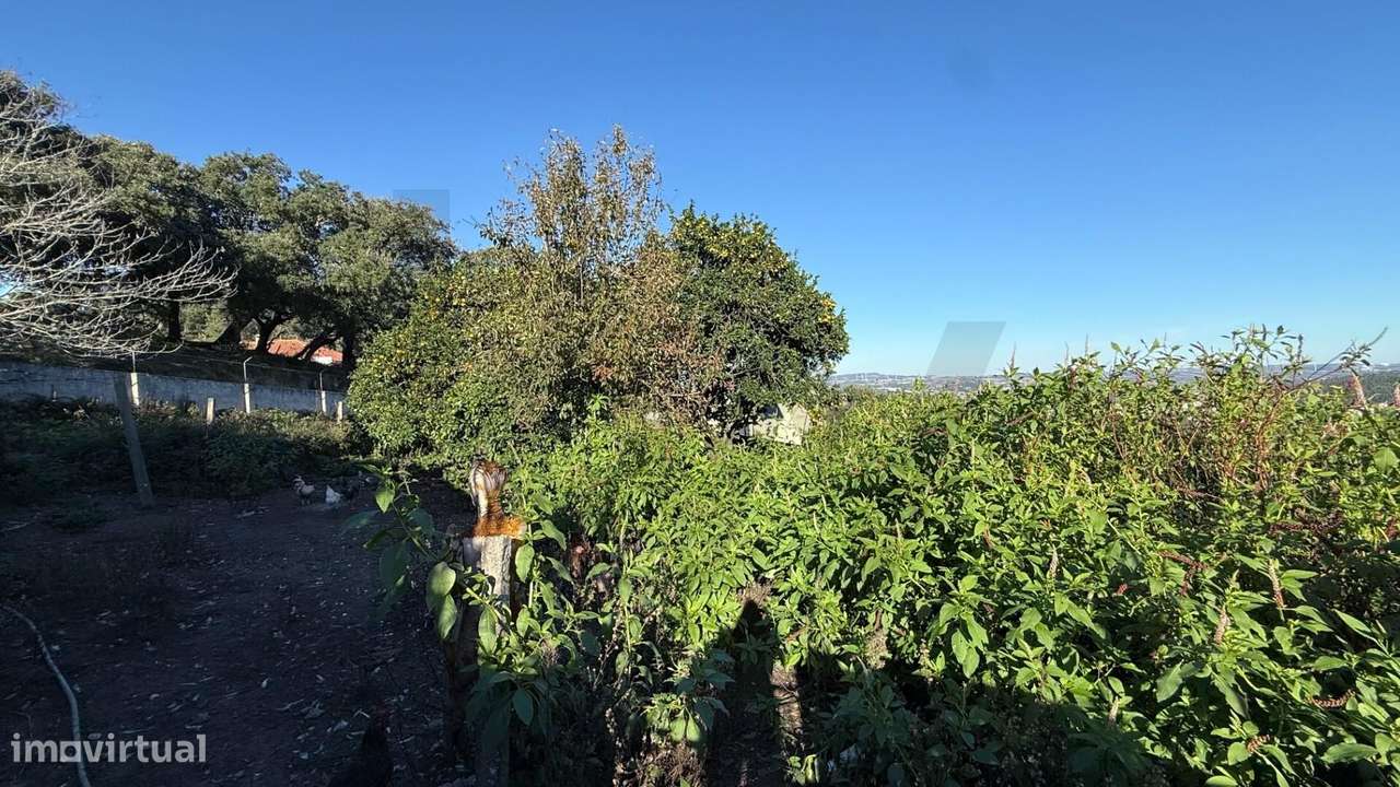 Moradia para reconstrução | Terreno 1.506 m2 | Vista campo | Periferia-21