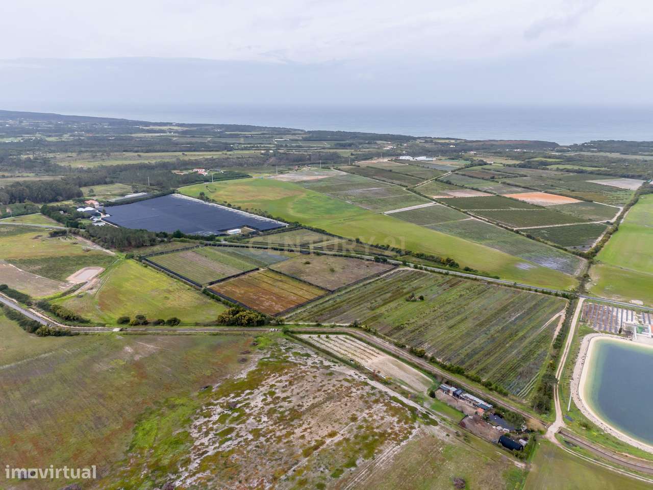 Negócio de Flores - Grande imagem: 5/24