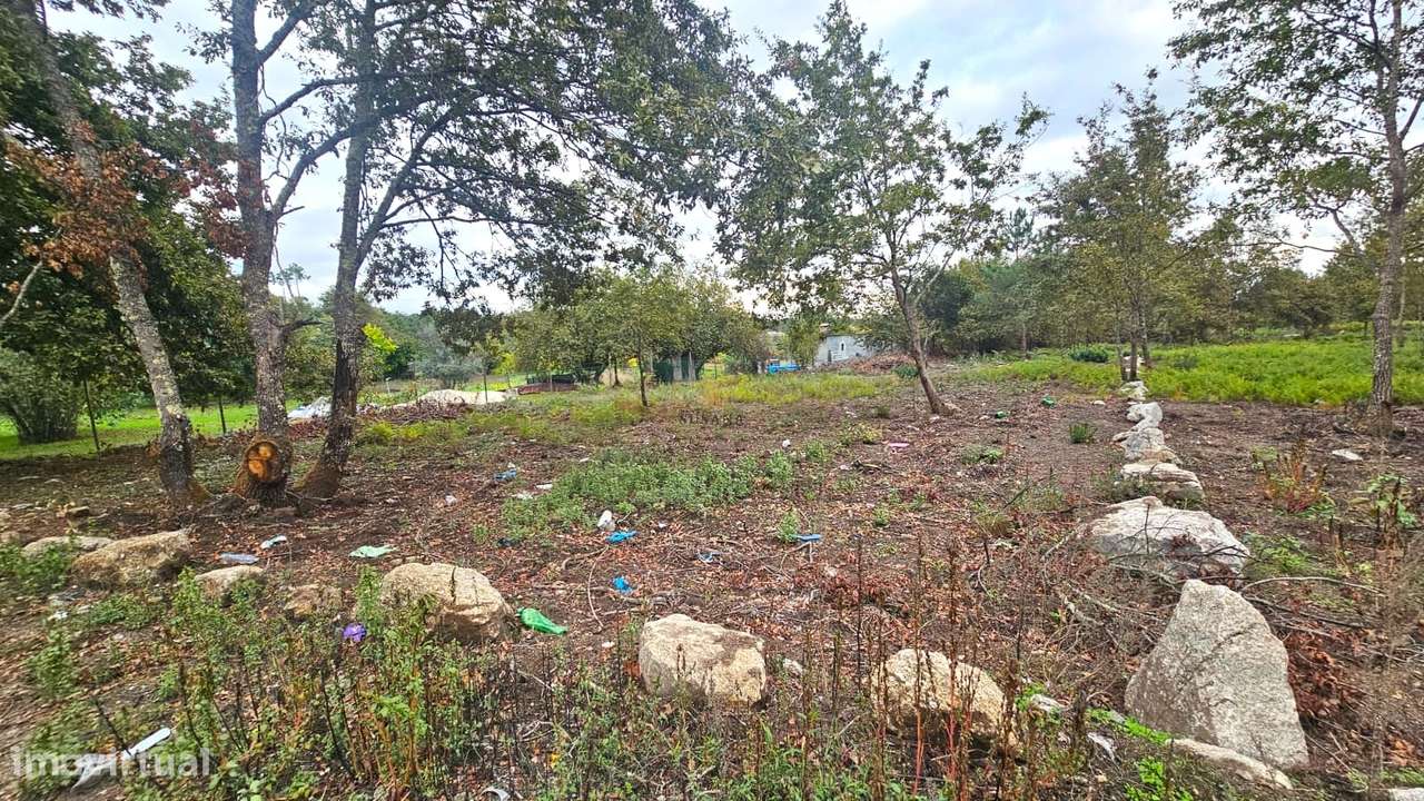 Terreno Rústico  Venda em Rio de Loba,Viseu - Grande imagem: 3/5