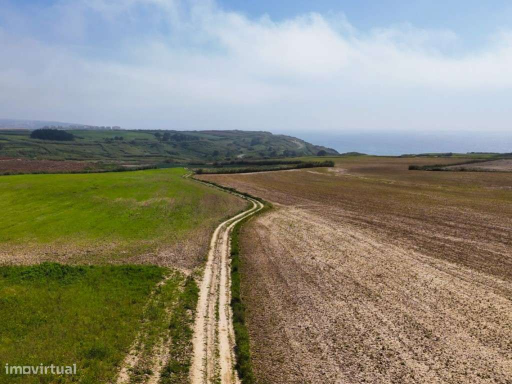 Venda de 2 Terrenos Agrícolas na zona do Paimogo, Lourinhã-29
