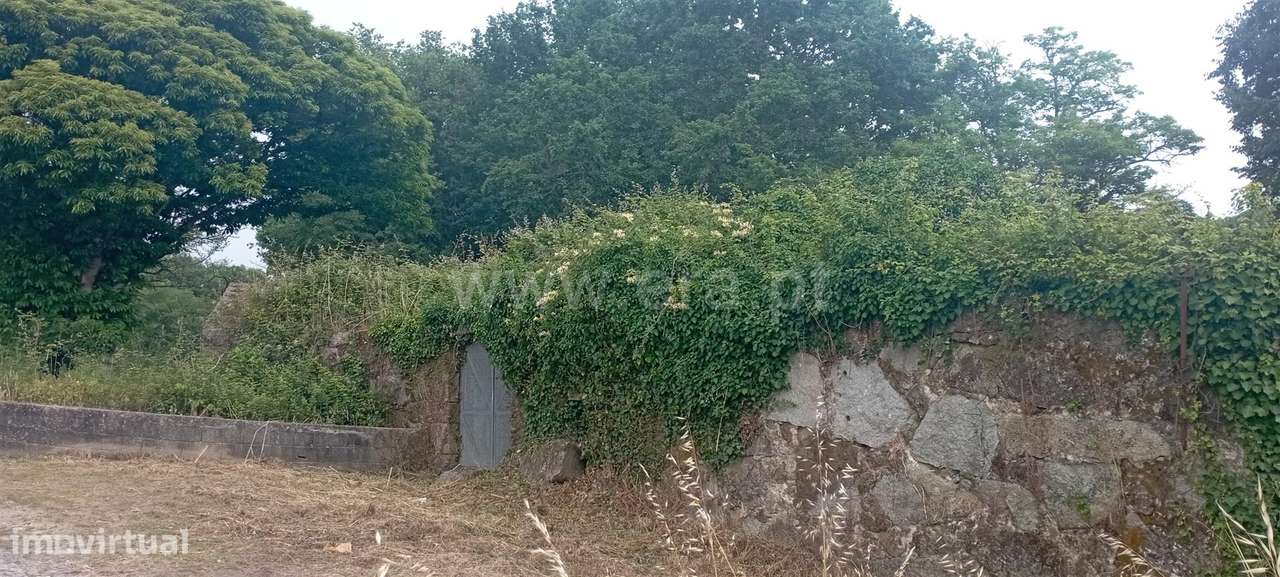 Terreno com ruina em Penafiel - Grande imagem: 5/10
