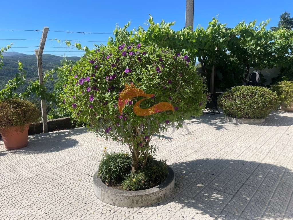 Moradia com jardim e garagem em Santa Ovaia, Oliveira do Hospital-23