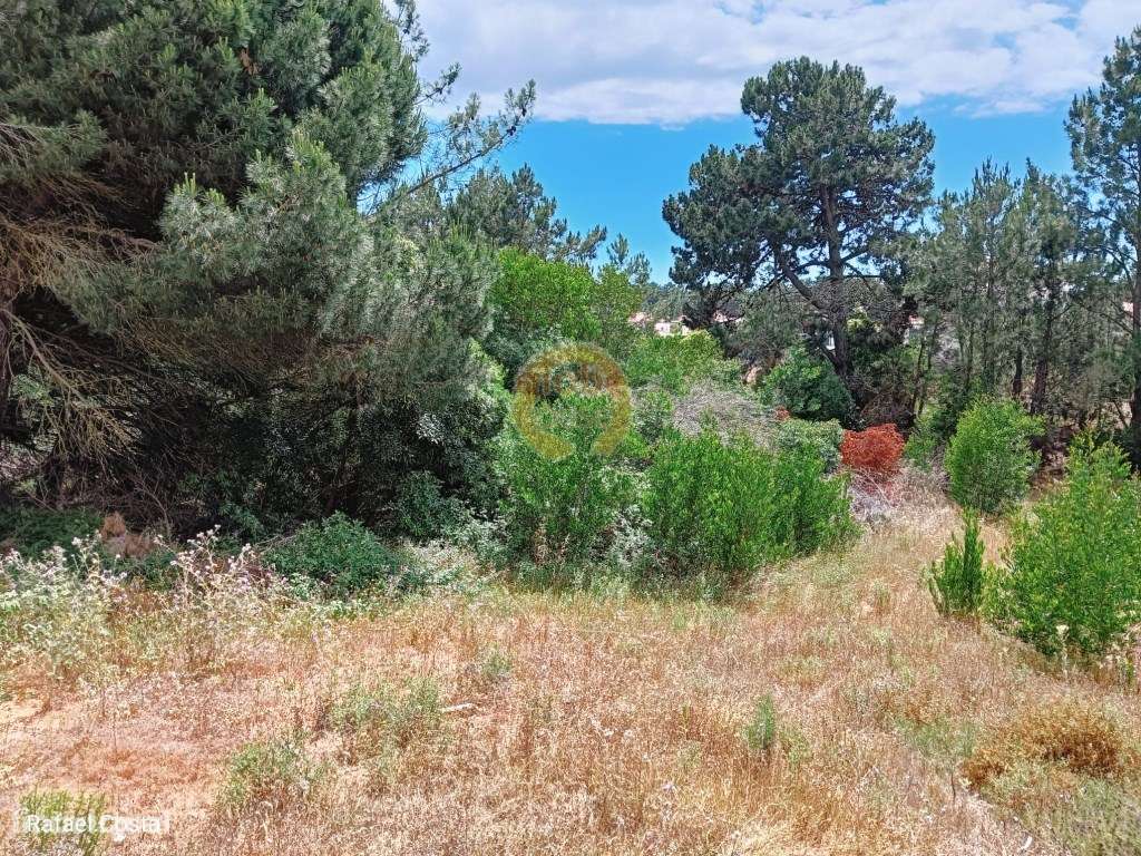 Terreno para construção situado em loteamento na Lagoa de Albufeira... - Grande imagem: 3/23