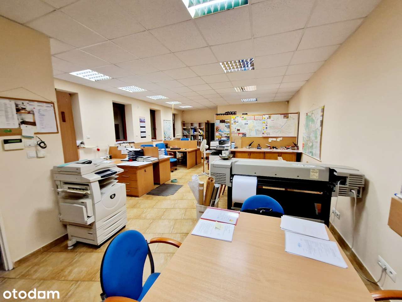 Solidny dom + budynek pod działalność w Złotorii-11