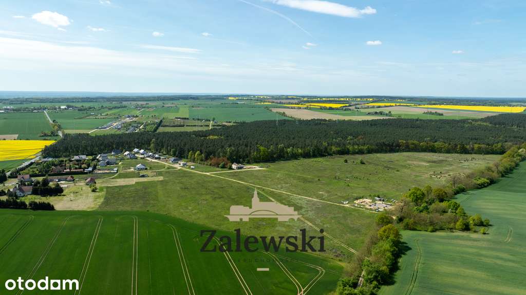 Działki na sprzedaż – Baczyna, przy lesie - Pełny obrazek: 2/9