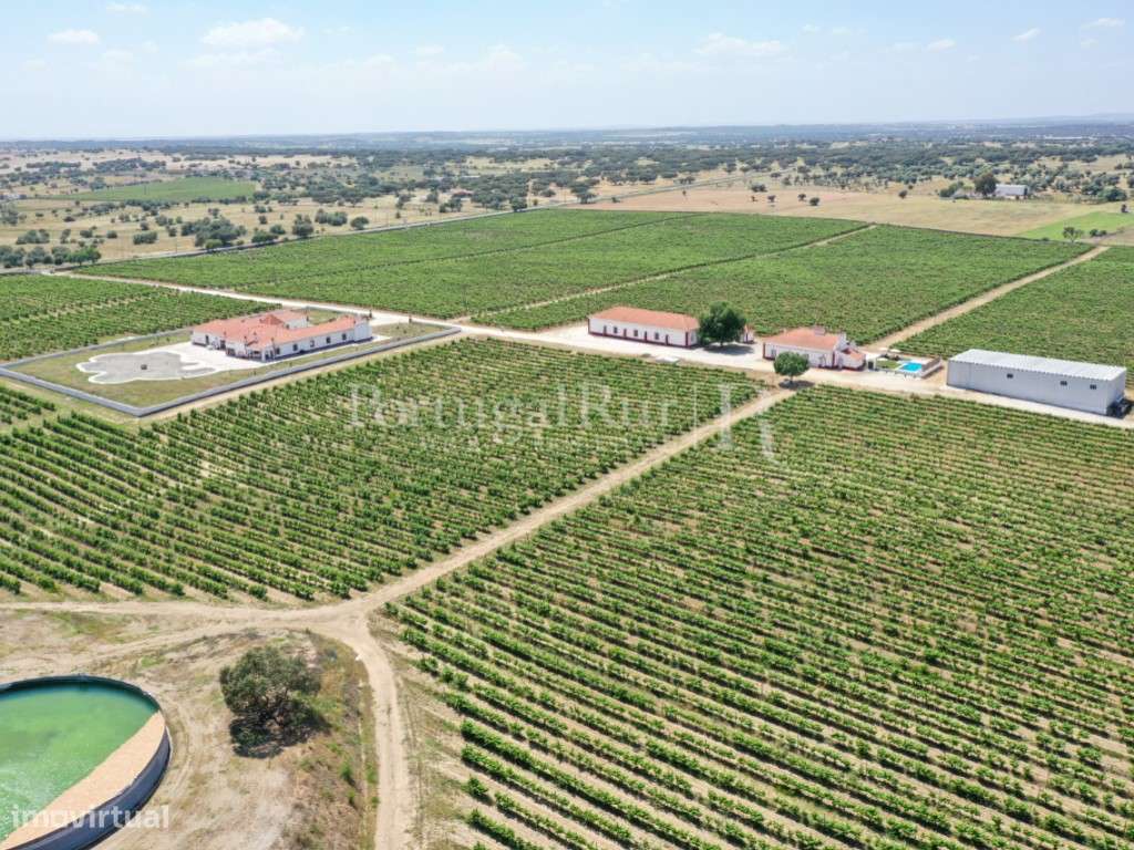 Herdade de vinha com 36 ha e agro-turismo no Alentejo - Grande imagem: 5/56